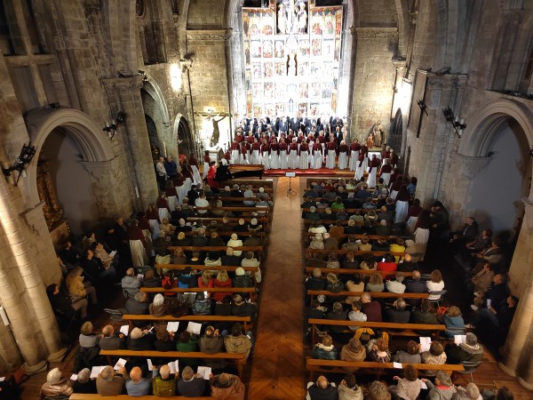 El Orfeón, en un concierto en Olite.